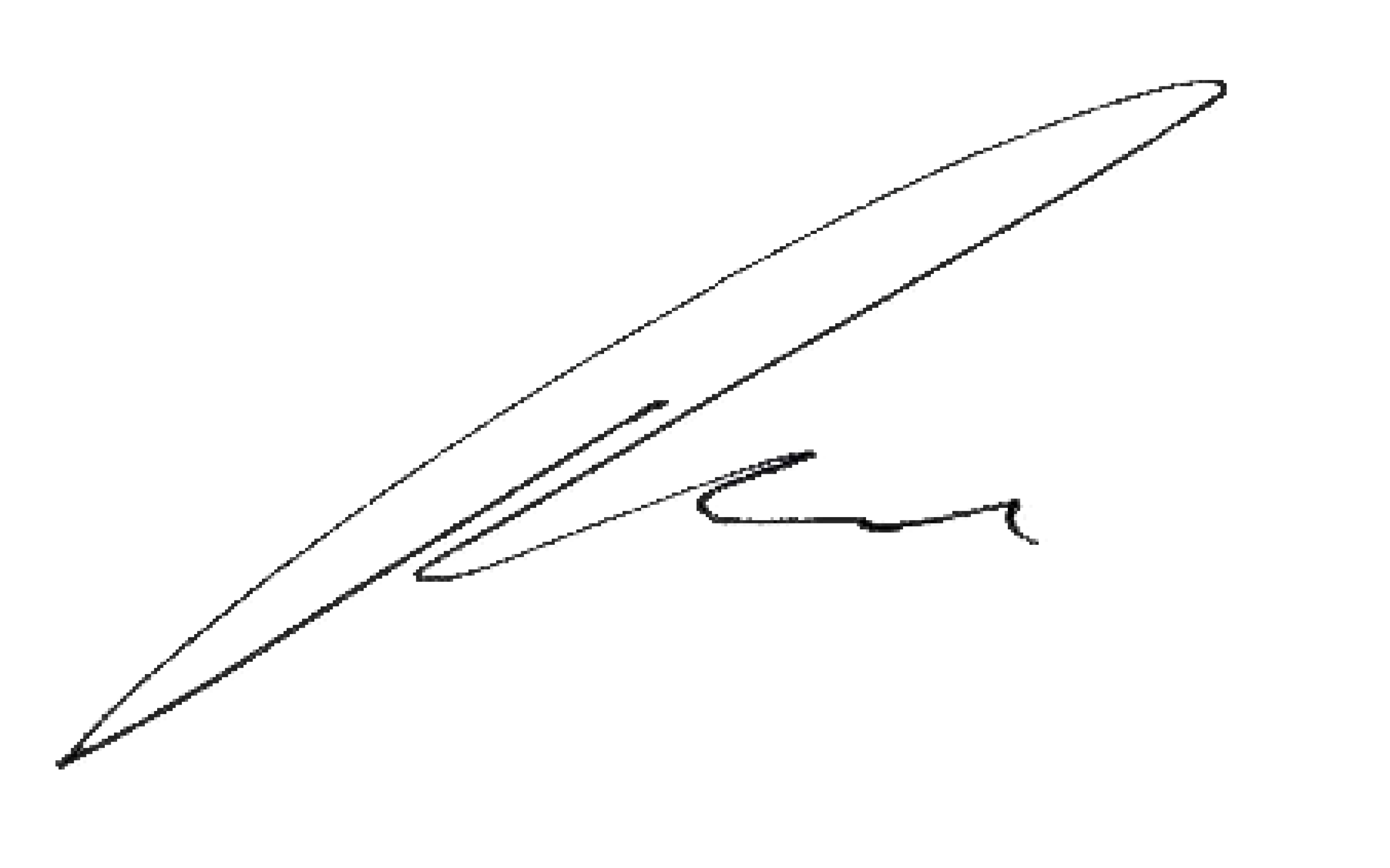 <p>Thomas Steiger<br />Stiftungsratspräsident</p>